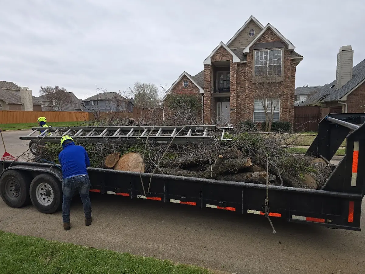 Expert Tree Pest Control with proper safety equipment in Sanbornton